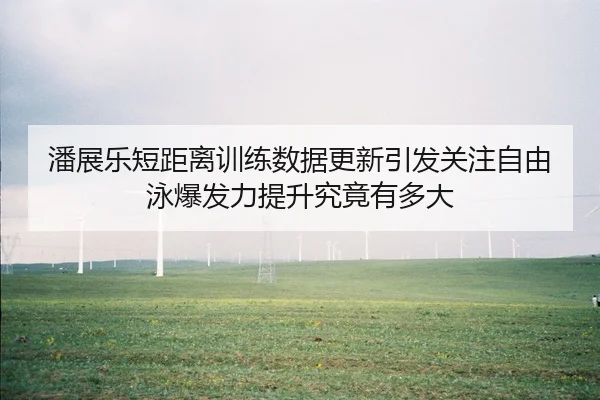 潘展乐短距离训练数据更新引发关注自由泳爆发力提升究竟有多大
